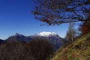 Dalla Culmine di S. Pietro allo Zuc di Maesimo sul sentiero alto estivo 21 DOL il 19 ottobre 2015   - FOTOGALLERY